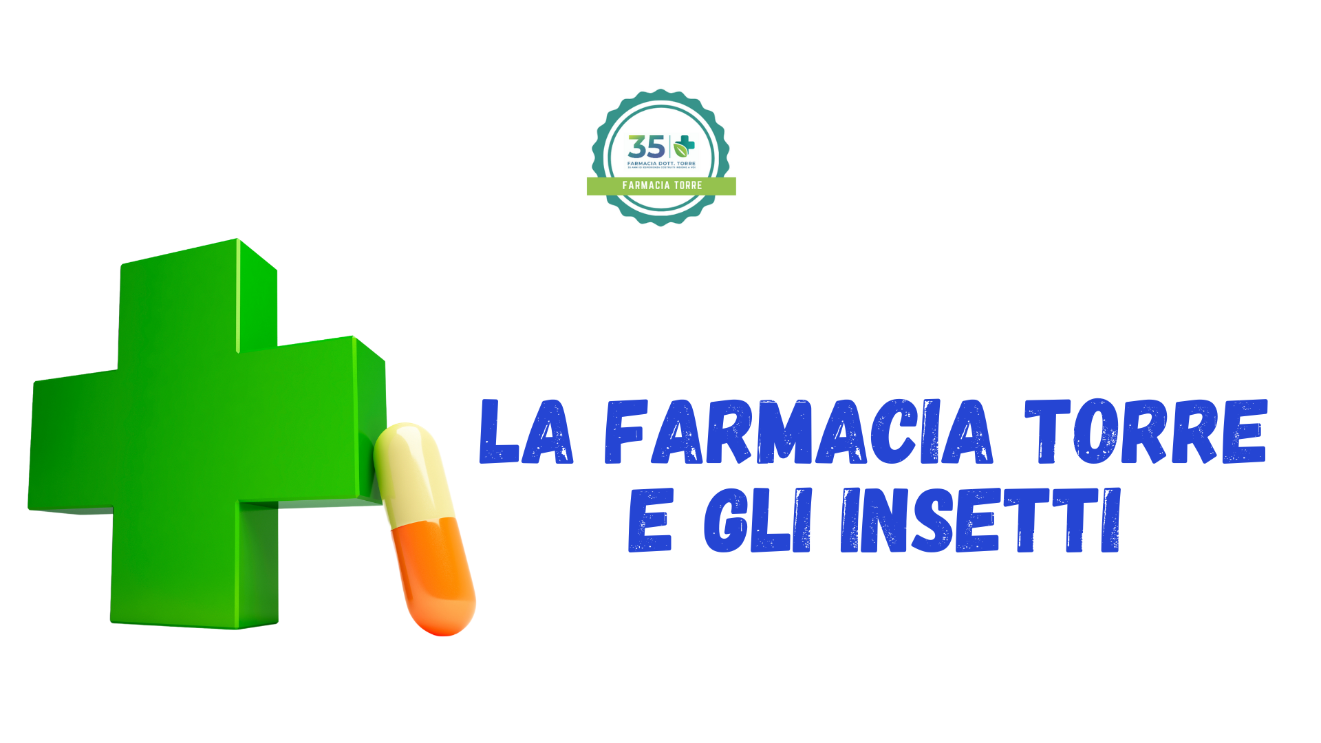 Insetti fastidiosi: Malattie, Cure e Prevenzione